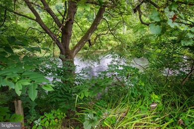 Imagine having 117 feet of frontage along renowned Spring Creek - photo 49
