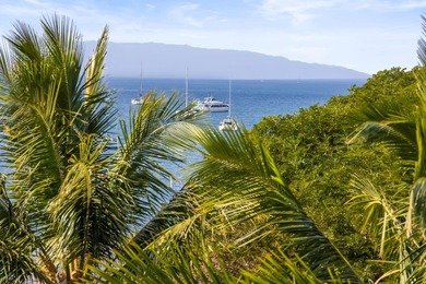 Live on the Beach! Wake up to the sound of waves in this direct - photo 23