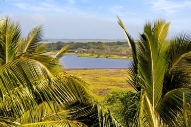 Live on the Beach! Wake up to the sound of waves in this direct - photo 24