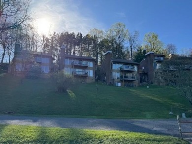 (private lake, pond, creek) Condo For Sale in Hillsville Virginia