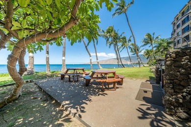 Live on the Beach! Wake up to the sound of waves in this direct - photo 42