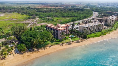 Live on the Beach! Wake up to the sound of waves in this direct - photo 47