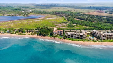 Live on the Beach! Wake up to the sound of waves in this direct - photo 48