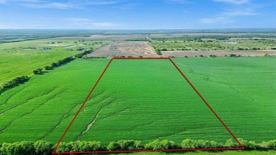 Lake Ray Roberts Acreage For Sale in Tioga Texas