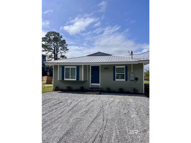 (private lake, pond, coastal) Home For Sale in Orange Beach Alabama