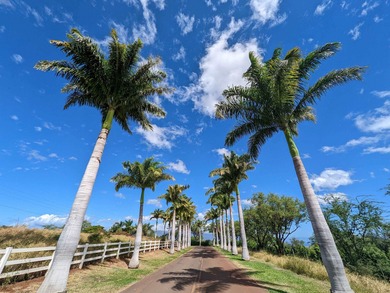 More than 5 prime acres with spectacular, forever bi-coastal - photo 3