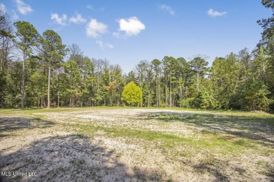 Hunting land for sale in Wilkinson County, MS bordering the - photo 3
