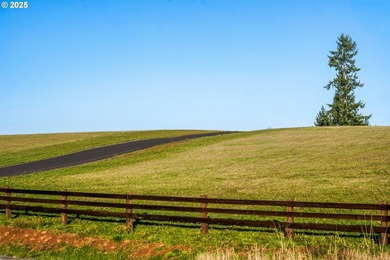 Beautiful territorial and Mt. St. Helens views are all yours - photo 2