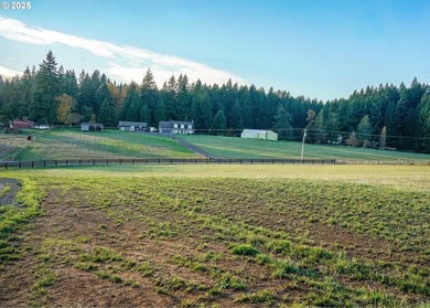 Beautiful territorial and Mt. St. Helens views are all yours - photo 3