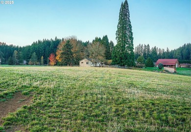 Beautiful territorial and Mt. St. Helens views are all yours - photo 4
