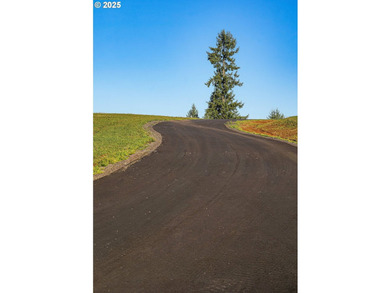 Beautiful territorial and Mt. St. Helens views are all yours - photo 7