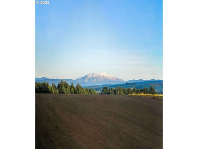 Beautiful territorial and Mt. St. Helens views are all yours - photo 8