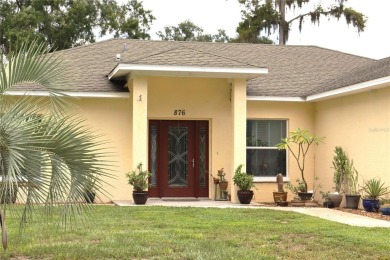 Lake Home For Sale in Lake Panasoffkee, Florida