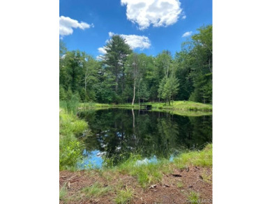 9.6 Acres with Pond and Stream - Lake Acreage For Sale in Glen Spey, New York