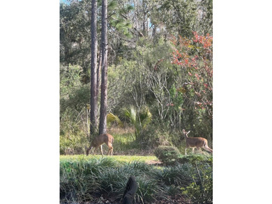 Perfectly positioned on a breathtaking conservation homesite - photo 50