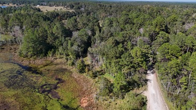 Lake Acreage For Sale in Citronelle, Alabama