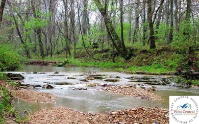Forbes Lake of the Ozarks Park is a premier gated community - photo 5
