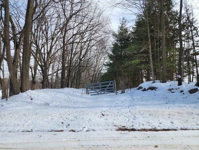 (private lake, pond, creek) Acreage For Sale in Fenwick Michigan