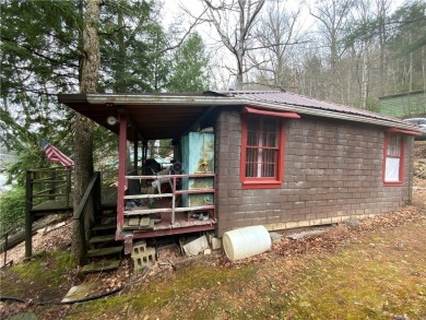 Lake Home For Sale in Highland Twp, Pennsylvania