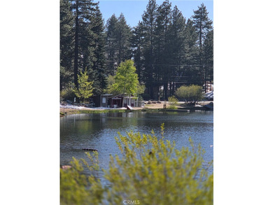 525 Yukon - photo 10
