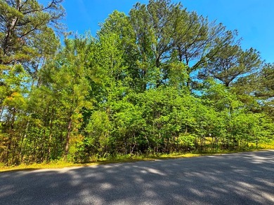 1.04-acre dockable waterfront lot on Lake Greenwood in - photo 15