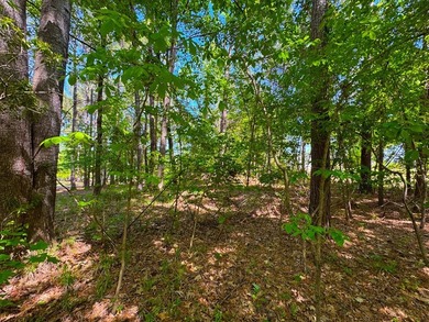1.04-acre dockable waterfront lot on Lake Greenwood in - photo 16