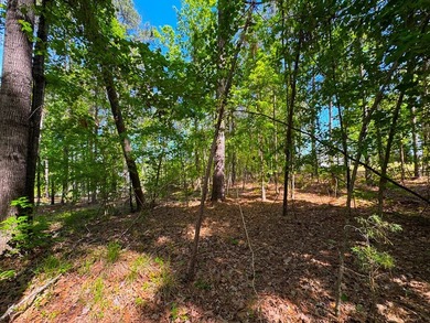1.04-acre dockable waterfront lot on Lake Greenwood in - photo 17