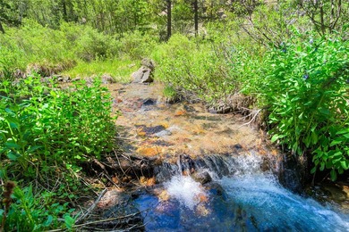 14+ Acres of Land with HUGE Ski Slope Views! The Barton Creek - photo 26