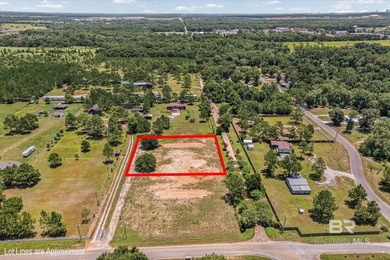 Discover a great opportunity to build your next home on spacious - photo 1