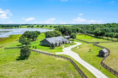 Lake Home For Sale in Groveland, Florida