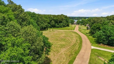 This is your chance to own a beautiful lot in Chestnut Hill in - photo 11