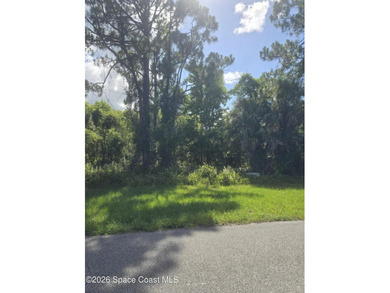 Build your home on an amazing 1 acre lot in Rambling Acres West! - photo 11