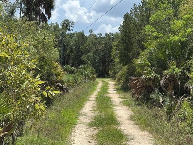 40 Acre Hunting Tract in Florida's Big Bend, located between - photo 2