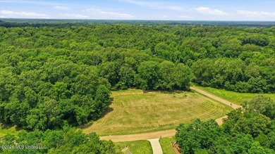 This is your chance to own a beautiful lot in Chestnut Hill in - photo 12