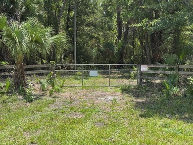 40 Acre Hunting Tract in Florida's Big Bend, located between - photo 3