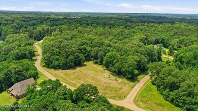 This is your chance to own a beautiful lot in Chestnut Hill in - photo 13