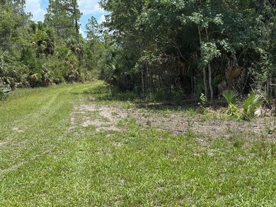 40 Acre Hunting Tract in Florida's Big Bend, located between - photo 4