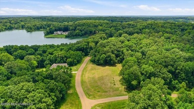 This is your chance to own a beautiful lot in Chestnut Hill in - photo 15