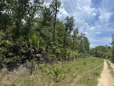 40 Acre Hunting Tract in Florida's Big Bend, located between - photo 6
