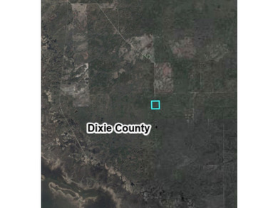 40 Acre Hunting Tract in Florida's Big Bend, located between - photo 7
