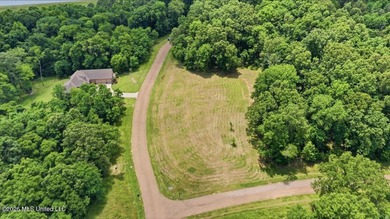 This is your chance to own a beautiful lot in Chestnut Hill in - photo 17