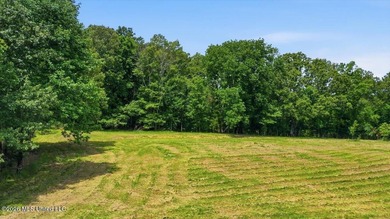 This is your chance to own a beautiful lot in Chestnut Hill in - photo 18