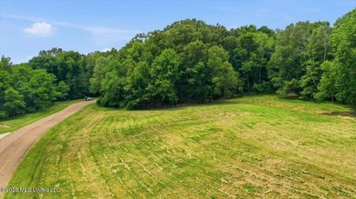 This is your chance to own a beautiful lot in Chestnut Hill in - photo 19