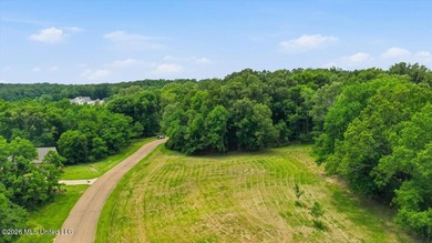This is your chance to own a beautiful lot in Chestnut Hill in - photo 20