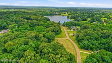 This is your chance to own a beautiful lot in Chestnut Hill in - photo 22