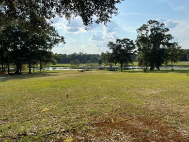 Lake Lot For Sale in Ashford, Alabama