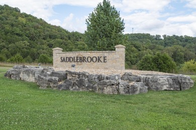 (private lake, pond, creek) Lot For Sale in Saddlebrooke Missouri