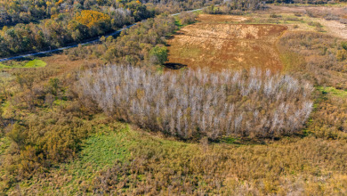 Buffalo County Riverfront Hunting Land for Sale - photo 13