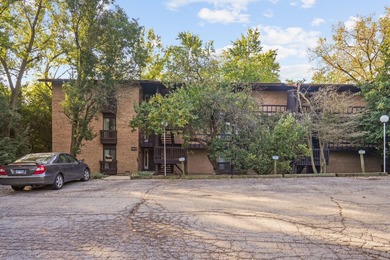 Four Lakes Home For Sale in Lisle Illinois