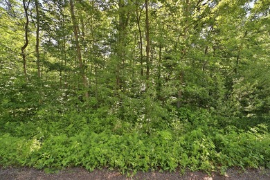 Fantastic up north property offering the perfect location to - photo 2